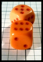 Dice : Dice - 6D Pipped - Orange with Red Pips - Hairy Tarantula Mar 2014
